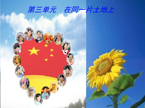 中华民族大家庭之兄弟姐妹(1)PPT课件