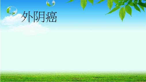 外阴癌ppt课件