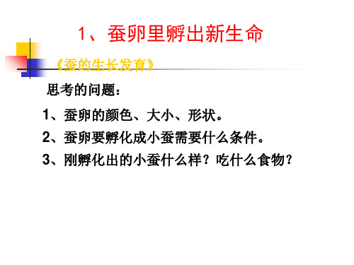 三年级科学下册动物的生命周期ppt课件