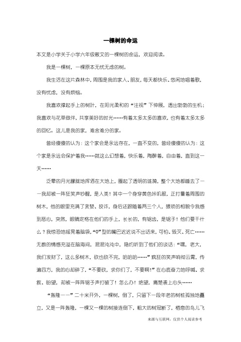 小学六年级散文：一棵树的命运_1