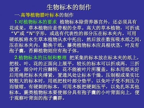 生物标本的制作