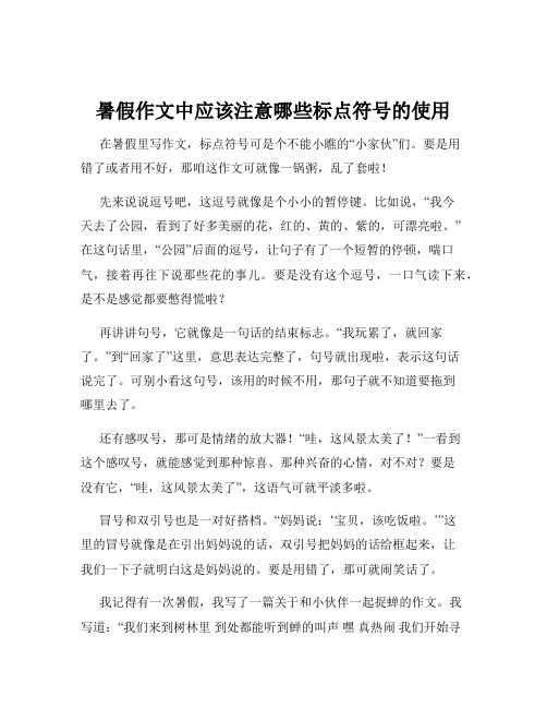 暑假作文中应该注意哪些标点符号的使用