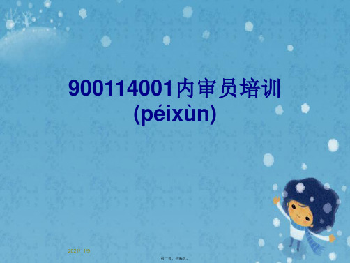 900114001内审员培训