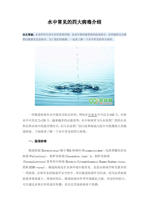 水中常见的四大病毒介绍