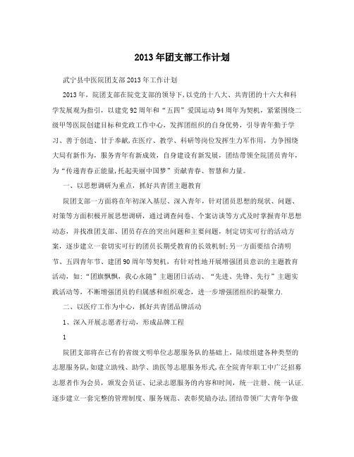 2013年团支部工作计划