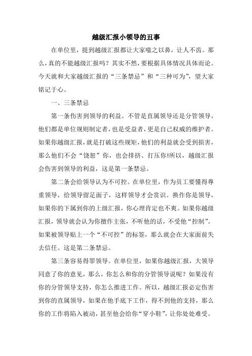 越级汇报小领导的丑事