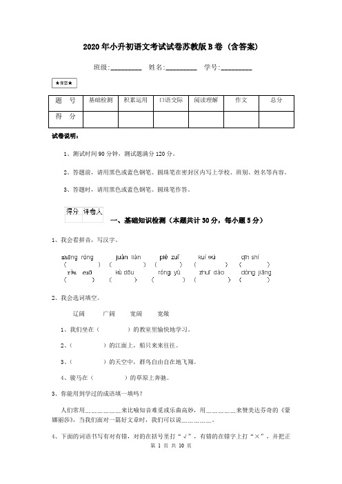 2020年小升初语文考试试卷苏教版B卷 (含答案)