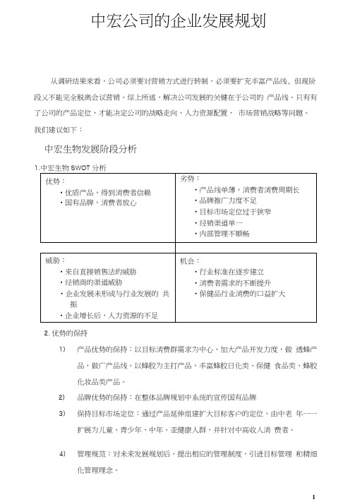 战略规划与市场布局