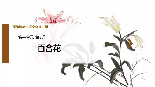 《百合花》PPT课件