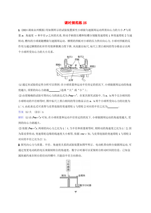 适用于新教材2025版高考物理一轮总复习课时规范练25