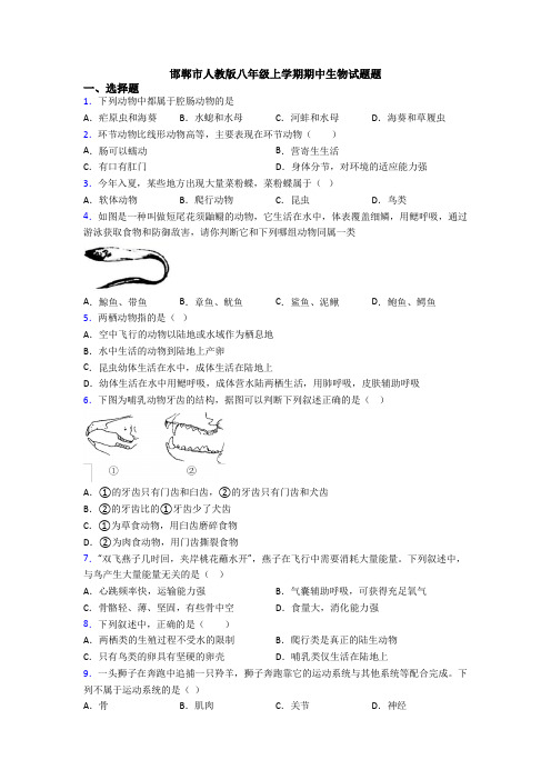 邯郸市人教版八年级上学期期中生物试题题