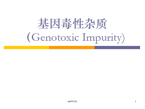 基因毒性杂质(genotoxicppt课件