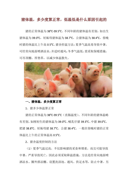 猪体温,多少度算正常,低温低是什么原因引起的