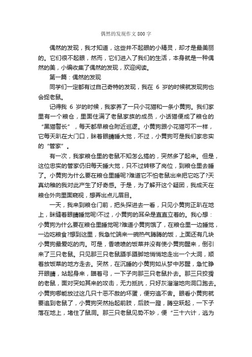 偶然的发现作文800字_作文范文_