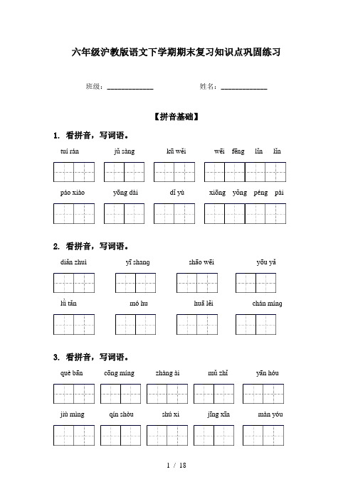 六年级沪教版语文下学期期末复习知识点巩固练习