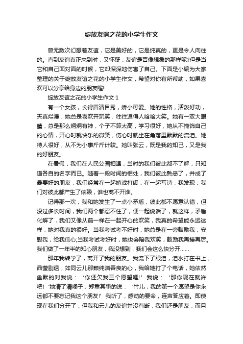 绽放友谊之花的小学生作文