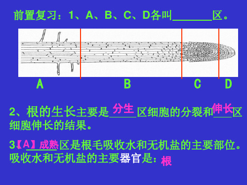 苏教课标版初中生物七年级上册第三单元第五章第三节 植物生长需要水和无机盐(共26张PPT)