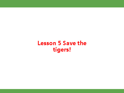 冀教版(2024)英语七年级上册 Lesson 5 Save the tigers! 知识梳理