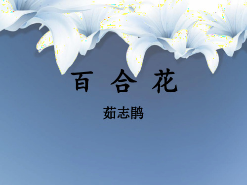 统编版高中语文必修上册《百合花》课件PPT