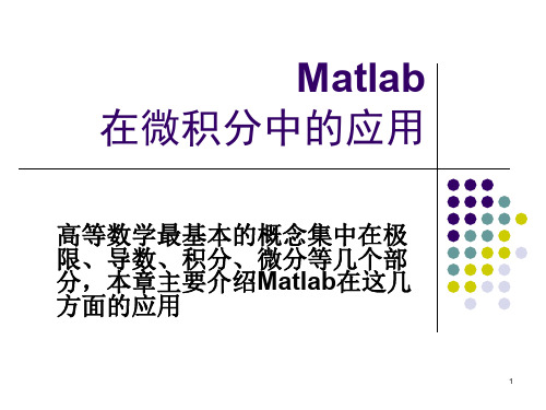 Matlab在微积分中的应用