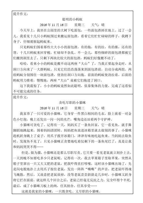 三年级上册第四单元优秀作文例文38篇观察中的新发现观察日记(自己整理,高分作文,适用于名校和辅导班)