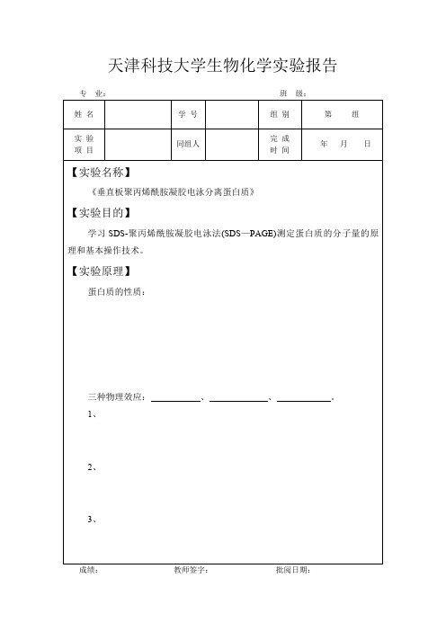 生物化学实验报告(实验五)