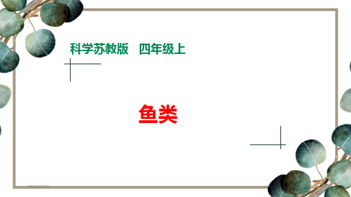 苏教版小学科学新版四年级上册科学1.2《鱼类》课件