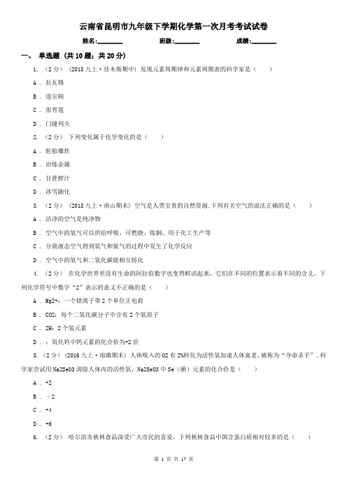 云南省昆明市九年级下学期化学第一次月考考试试卷