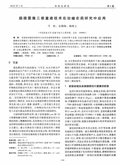 超微图像三维重建技术在治蝗农药研究中应用