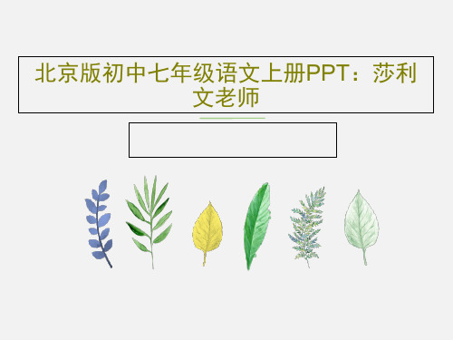 北京版初中七年级语文上册PPT：莎利文老师共19页文档