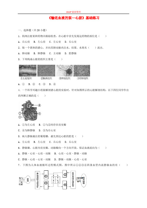 七年级生物下册第四单元第四章第三节输送血液的泵_心脏基础练习新版-新整理