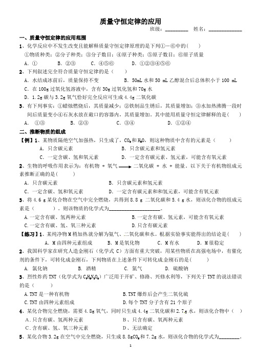 质量守恒定律的应用专项训练