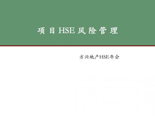 HSE风险管理ppt课件