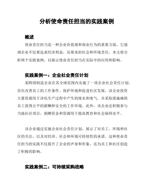 分析使命责任担当的实践案例