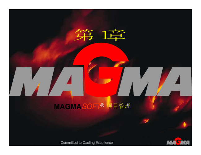 第1章MAGMA项目管理