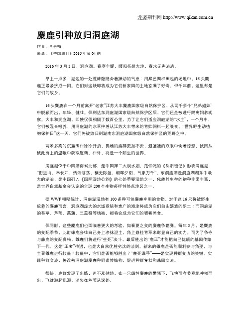 麋鹿引种放归洞庭湖