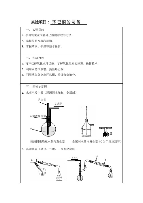 实验项目环己酮的制备