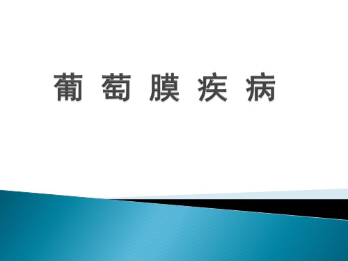 【眼科学】葡萄膜炎PPT课件