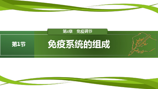 4.1 免疫系统的组成(情境+问题探究课件)-2024-2025学年高二生物同步精品课堂(人教版20