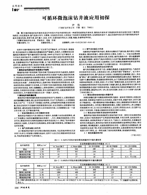 可循环微泡沫钻井液应用初探