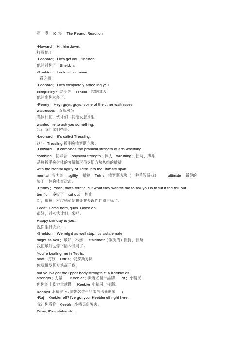 生活大爆炸剧本第一季16集