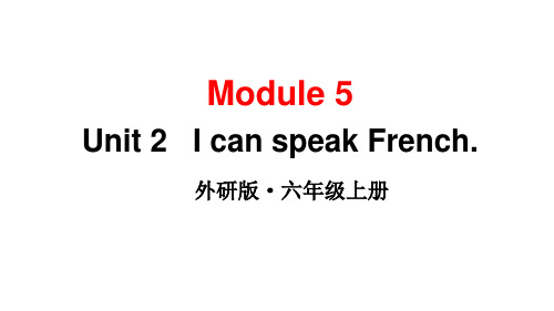 外研版六年级英语上册上课课件Module 5 Unit 2