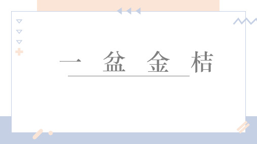 《一盆金桔》5-6岁幼儿园小学少儿美术教育绘画课件创意教程教案PPT模板