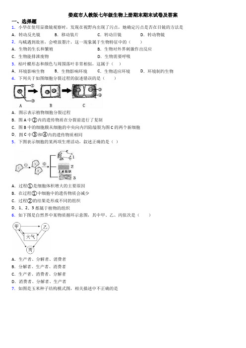 娄底市人教版七年级生物上册期末期末试卷及答案