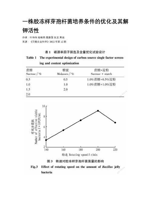 一株胶冻样芽孢杆菌培养条件的优化及其解钾活性