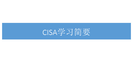 CISA简要