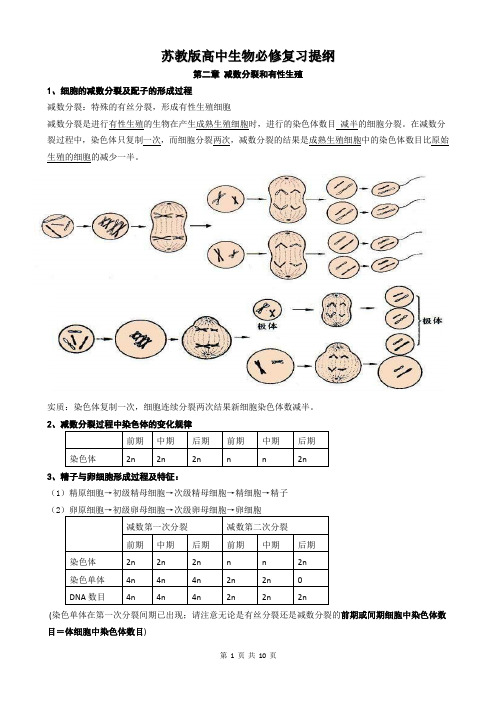 苏教版高中生物必修二复习提纲