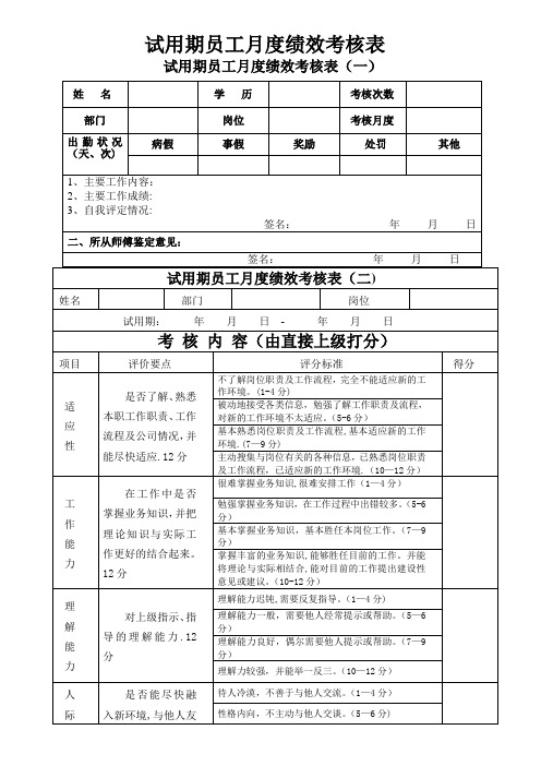 新员工试用期考核表(月度)