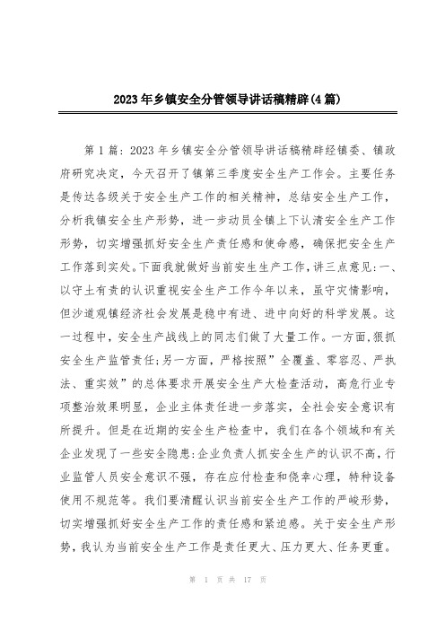 2023年乡镇安全分管领导讲话稿精辟(4篇)