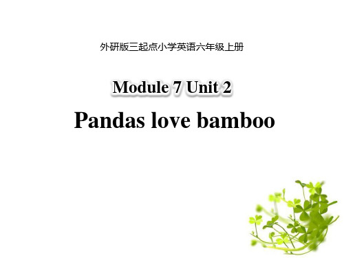 《Pandaslovebamboo》PPT精品课件